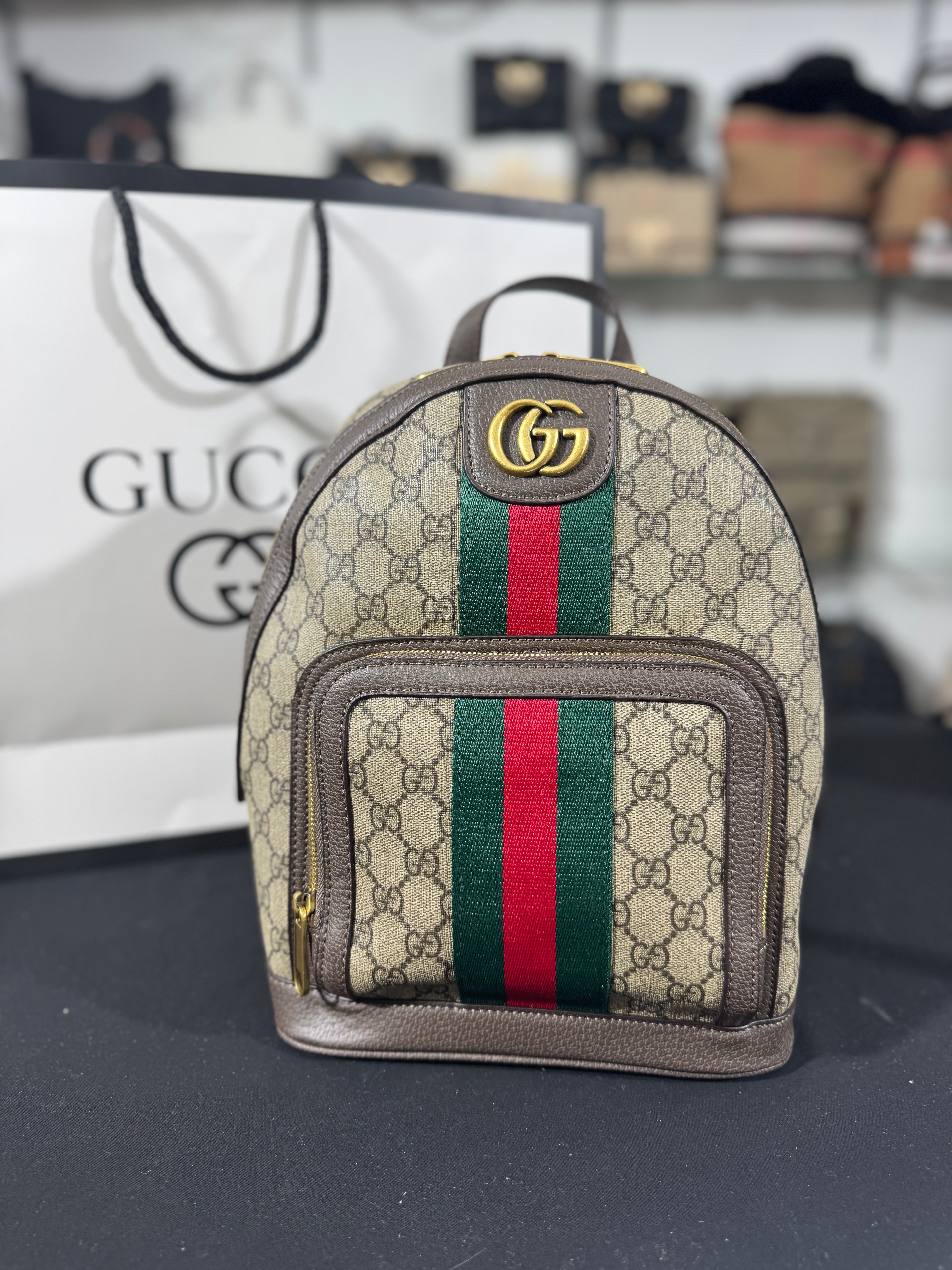 Gucci Ophidia envelope 26x19